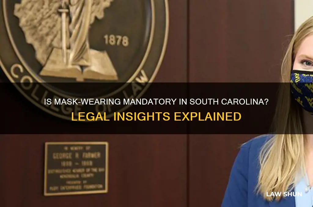 is it a law to wear a mask in sc
