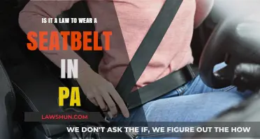 PA Seatbelt Laws: Are They Mandatory for Drivers and Passengers?