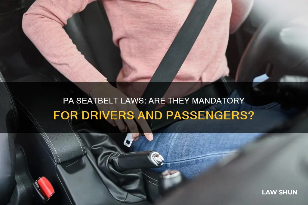 is it a law to wear a seatbelt in pa