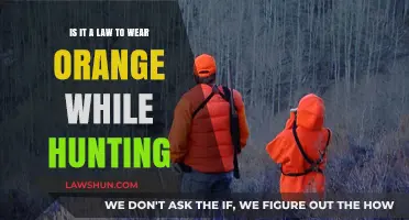 Is Wearing Orange While Hunting Legally Required? Exploring the Law