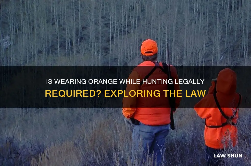 is it a law to wear orange while hunting