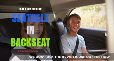 Is Wearing a Seatbelt in the Backseat Legally Required?