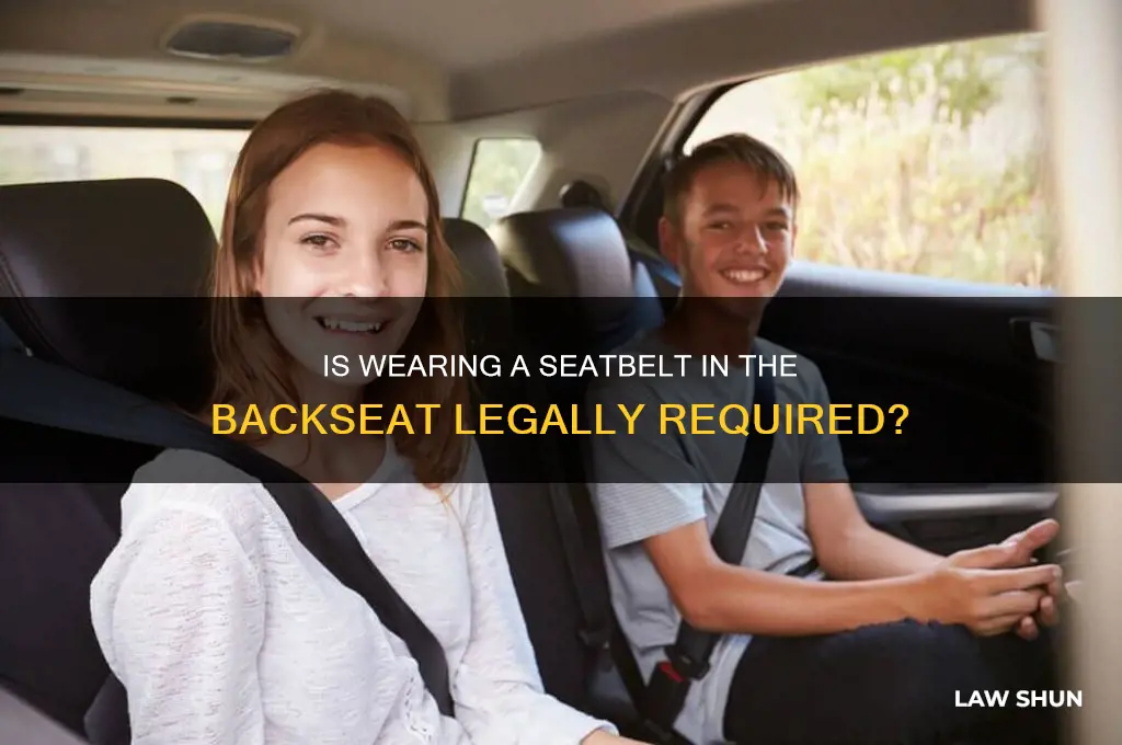 is it a law to wear seatbelt in backseat