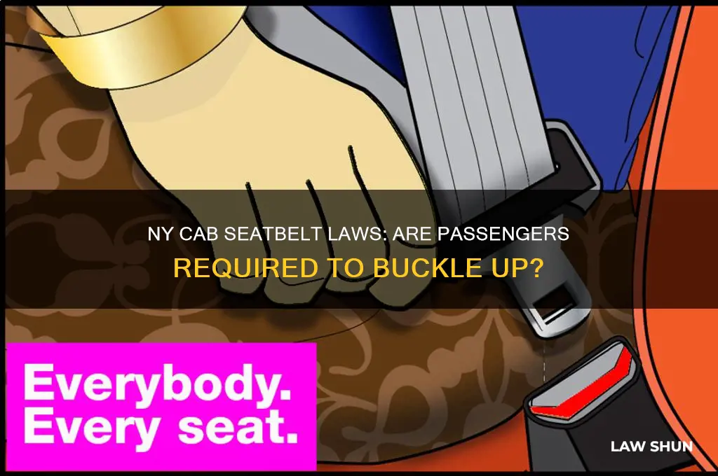 is it a law to wear seatbelt in ny cab