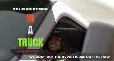 Is Wearing a Seatbelt in a Truck Legally Required?