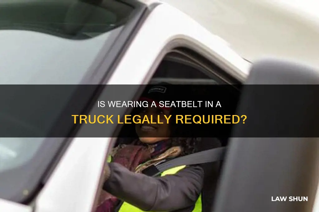 is it a law to wear seatbelts in a truck