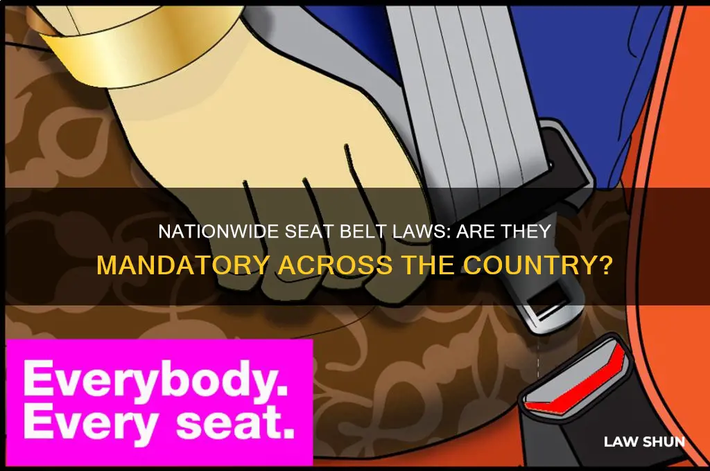 is it a nation wide law to wear seat belt