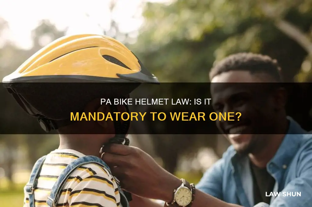 is it a pa law to wear a bike helmet