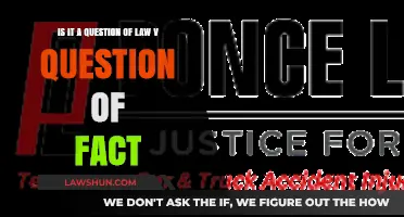 Understanding Legal Disputes: Law vs. Fact Questions Explained