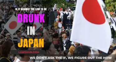 Is Public Intoxication Illegal in Japan? Understanding Japanese Drunkenness Laws