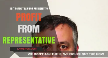 Is Presidential Profit from Representatives Illegal? Legal Analysis Explained