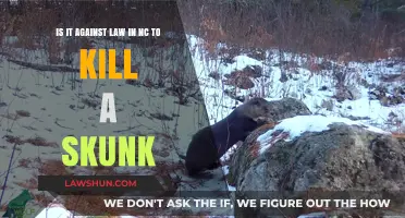 Is Killing Skunks Legal in North Carolina? Understanding NC Wildlife Laws