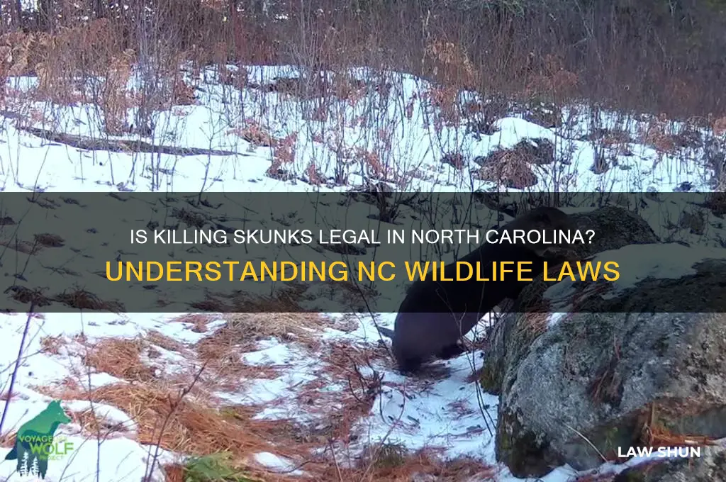 is it against law in nc to kill a skunk