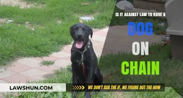 Is Chaining Dogs Legal? Understanding Animal Cruelty Laws and Rights