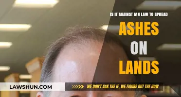 Is Spreading Ashes on Minnesota Land Legal? Understanding MN Laws