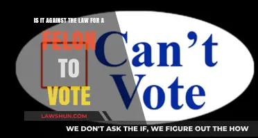 Felon Voting Rights: Legal or Illegal? Understanding the Law