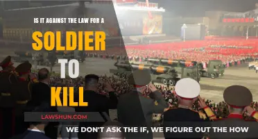Is Killing Legal for Soldiers? Exploring Military Law and Ethics