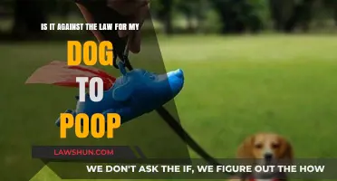 Dog Poop Laws: Understanding Legal Responsibilities for Pet Owners