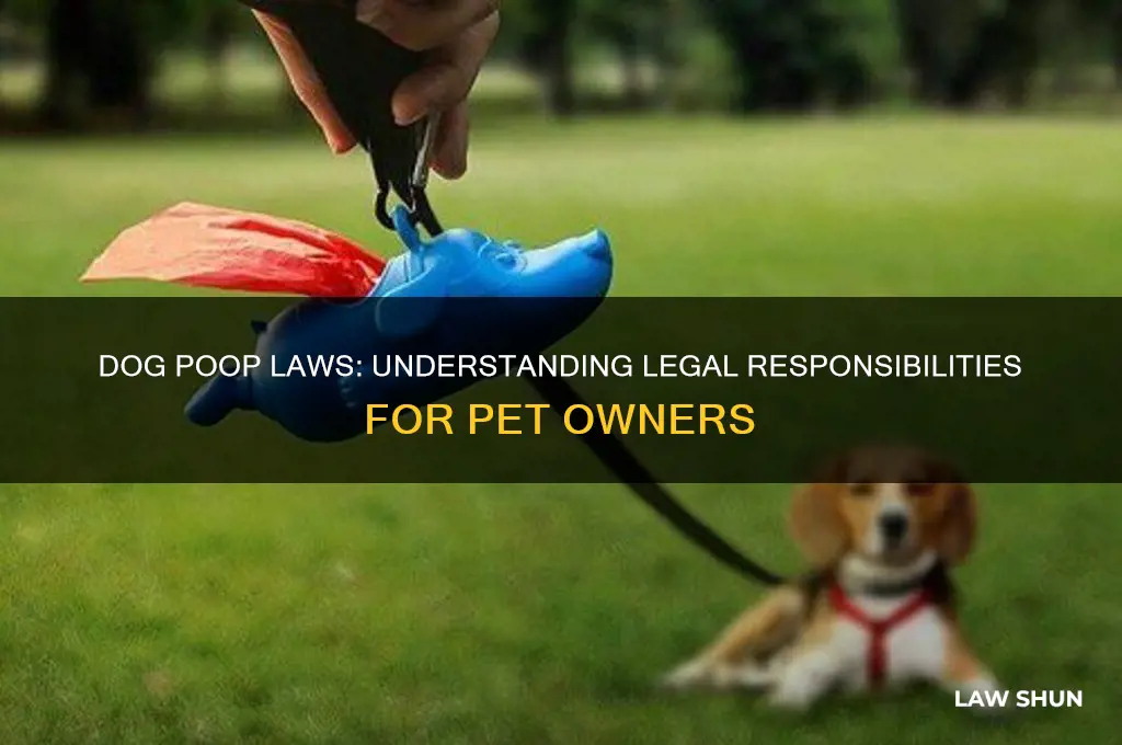 is it against the law for my dog to poop