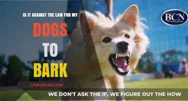 Is Dog Barking Legal? Understanding Noise Laws and Pet Ownership