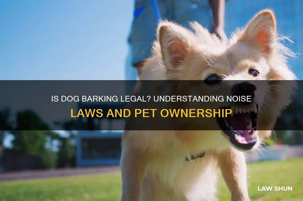 is it against the law for my dogs to bark