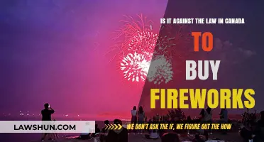 Fireworks Laws in Canada: What You Need to Know