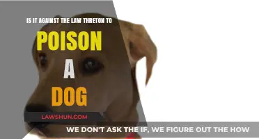 Threatening to Poison a Dog: Legal Consequences and Animal Cruelty Laws