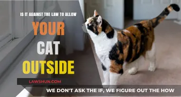 Is Letting Your Cat Roam Outside Illegal? Legal Insights