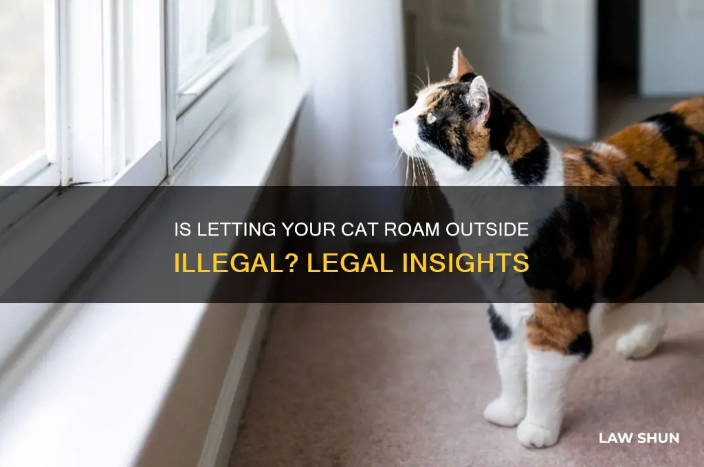 is it against the law to allow your cat outside