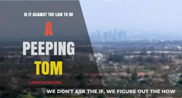 Peeping Tom Laws: Understanding Legal Boundaries and Privacy Rights