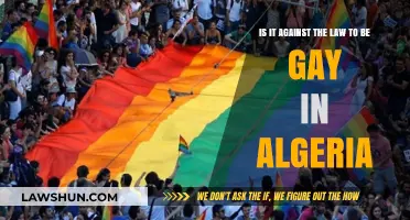 Is Being Gay Illegal in Algeria? Understanding the Legal Landscape