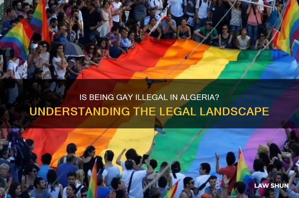 is it against the law to be gay in algeria