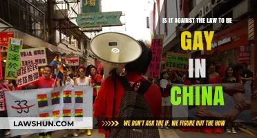 Is Homosexuality Legal in China? Exploring the Current Laws and Attitudes