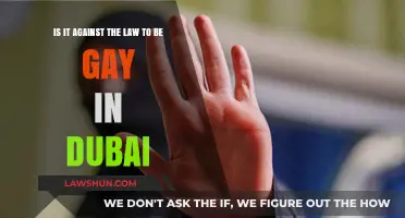 Is Being Gay Illegal in Dubai? Understanding UAE's LGBTQ+ Laws