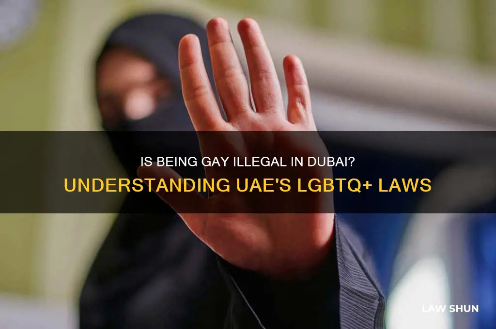 is it against the law to be gay in dubai