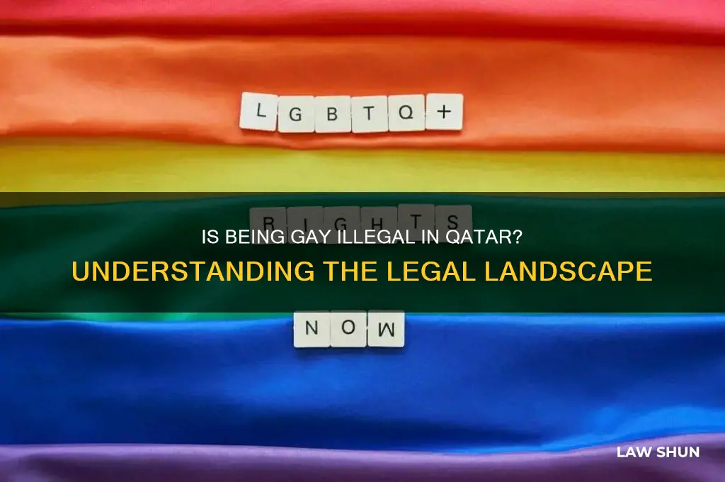 is it against the law to be gay in qatar