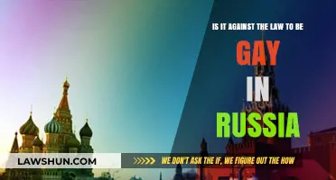 Is Being Gay Illegal in Russia? Understanding the Current Laws