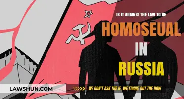 Is Homosexuality Legal in Russia? Exploring the Current Laws and Penalties