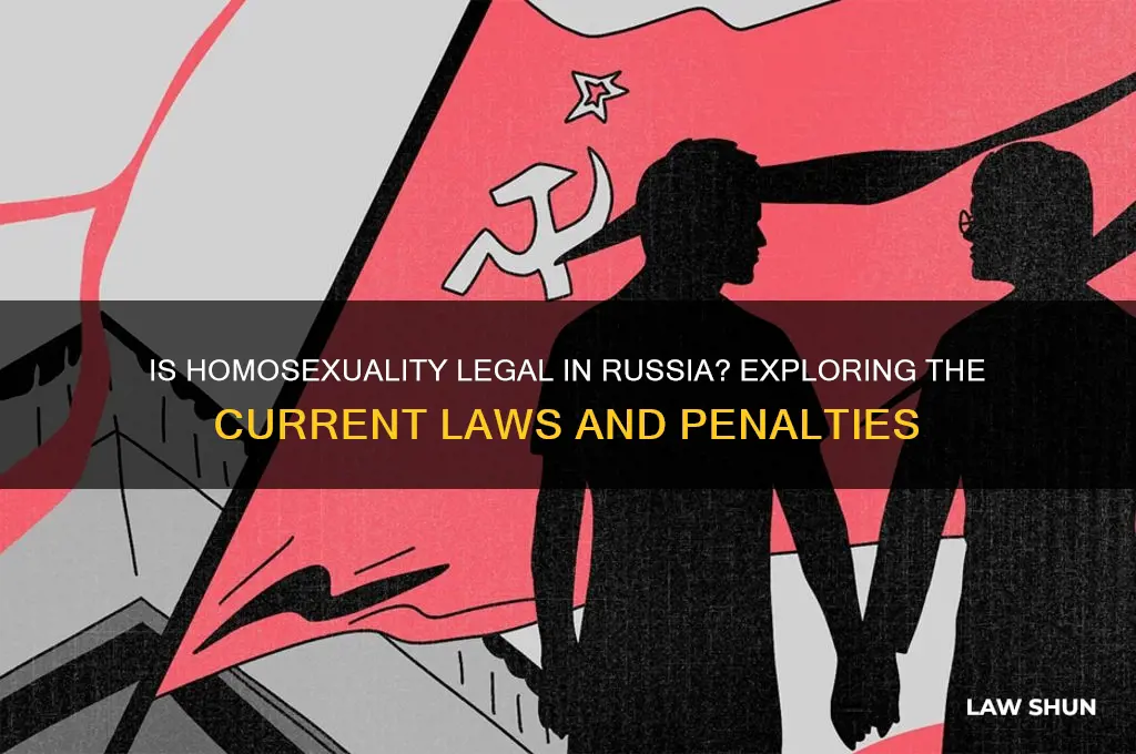 is it against the law to be homoseual in russia