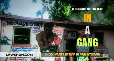 Is Gang Membership Illegal? Understanding the Legal Boundaries of Affiliation