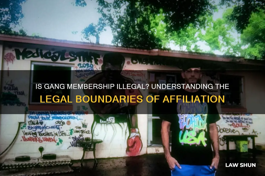 is it against the law to be in a gang