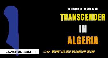 Transgender Rights in Algeria: Legal Status and Societal Challenges Explored