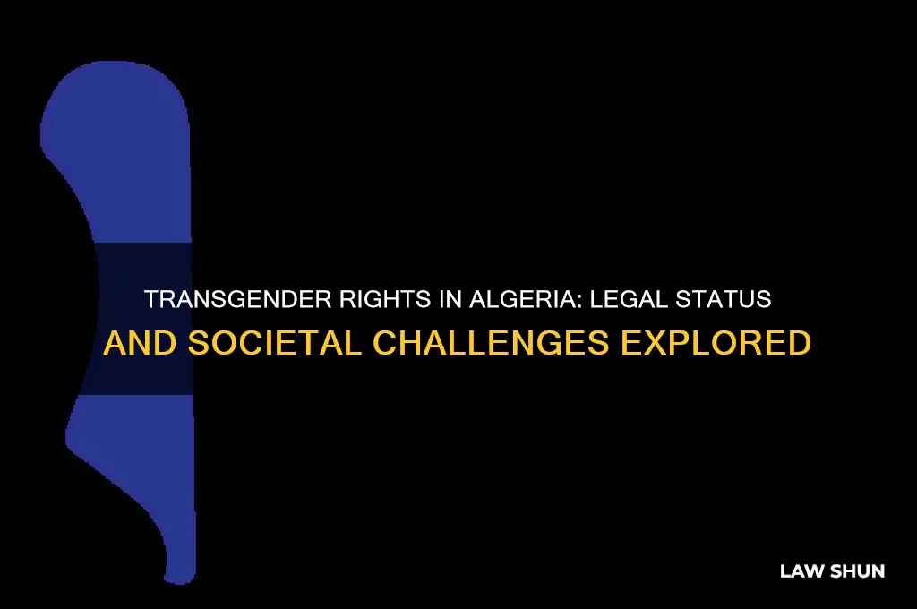 is it against the law to be transgender in algeria