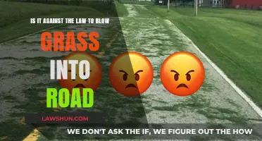 Blowing Grass onto Roads: Legal or a Lawbreaker's Mistake?