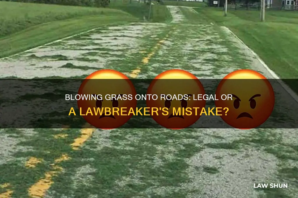 is it against the law to blow grass into road