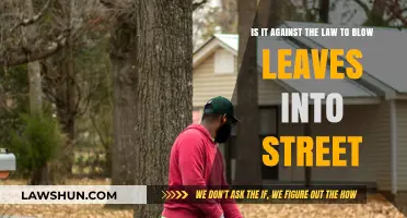Is Blowing Leaves into the Street Illegal? Legal Insights Explained