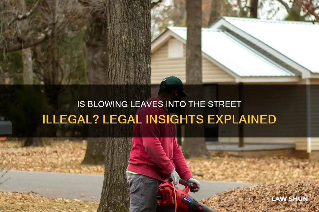 is it against the law to blow leaves into street