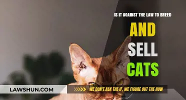 Breeding and Selling Cats: Legal or Illegal? Understanding the Law