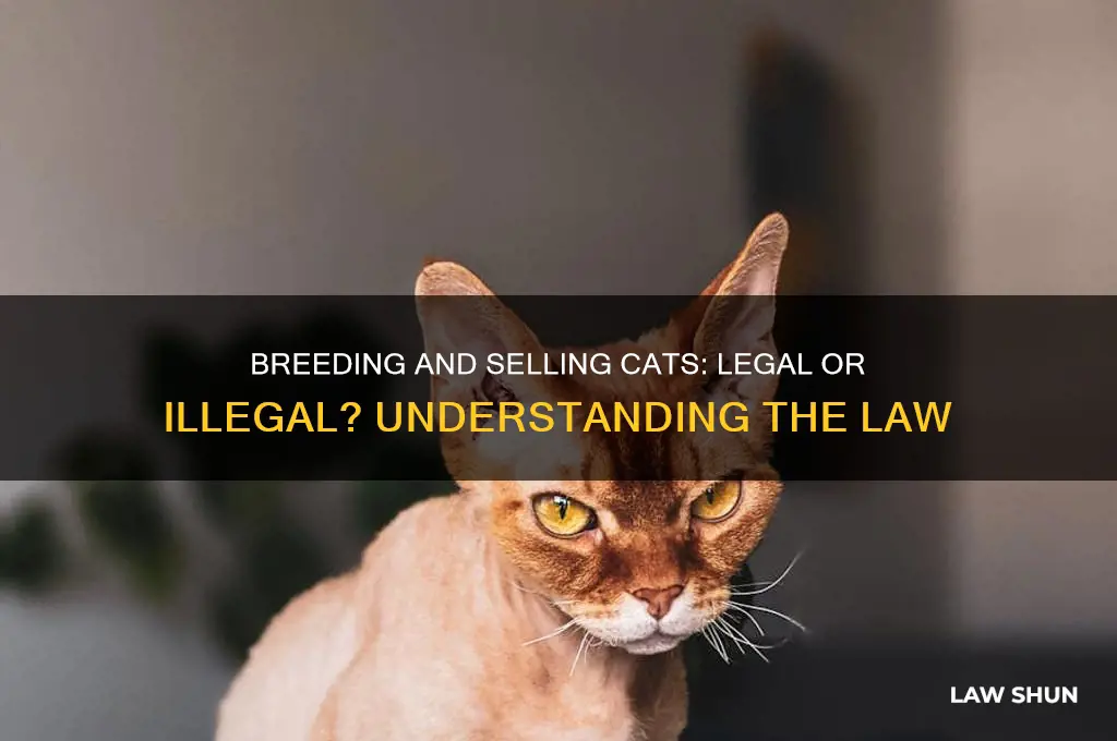 is it against the law to breed and sell cats