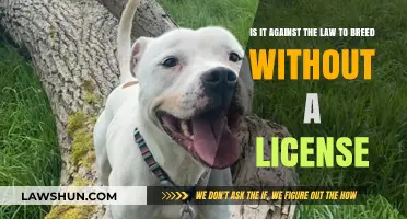 Breeding Laws: Do You Need a License to Breed?